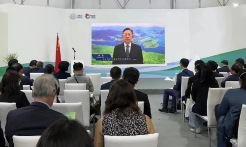 中国节能联合承办COP27气候投融资边会 研究中心参加边会圆桌论坛